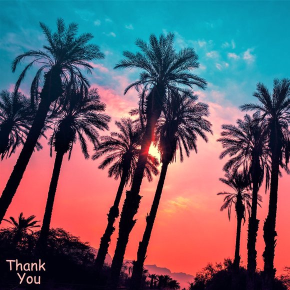 Hi - Picture 14 of 16